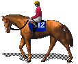 Horses graphics