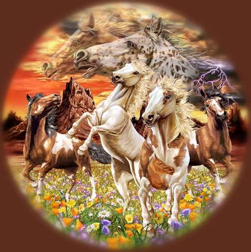 Horses graphics