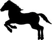 Horses graphics