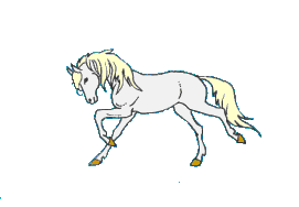 Horses graphics