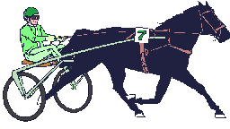 Horses graphics