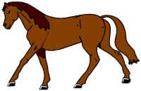 Horses graphics