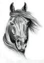 Horses graphics