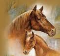 Horses graphics