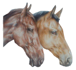 Two horses heads animated