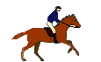 Horses graphics