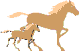 Horses graphics