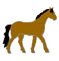Horses graphics