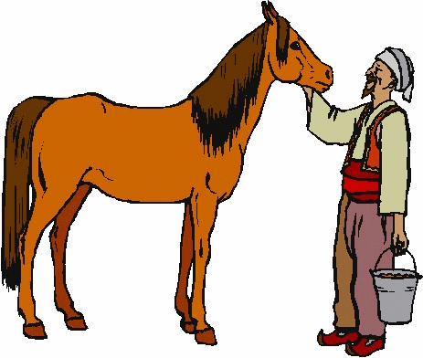 Horses graphics
