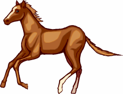 Horses graphics