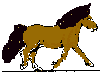 Horses graphics
