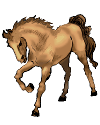 Horses graphics