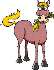 Horses graphics