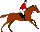 Horses graphics