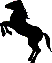 Horses graphics