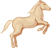 Horses graphics