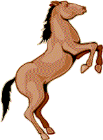 Horses graphics