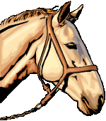 Horses graphics