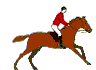 Horses graphics