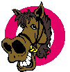 Horses graphics