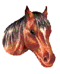 Horses graphics