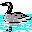 Icons graphics