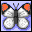 Icons graphics