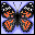 Icons graphics