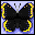 Icons graphics