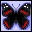 Icons graphics