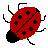 Icons graphics