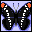 Icons graphics