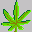 Icons graphics