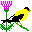 Icons graphics