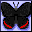 Icons graphics