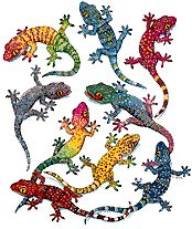 Iguana graphics