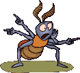 Insects graphics