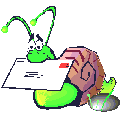 Insects graphics