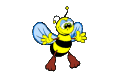 Insects graphics
