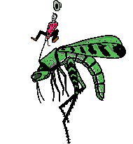 Insects graphics