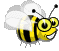 Insects graphics
