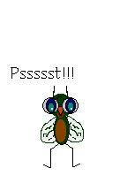 Insects graphics
