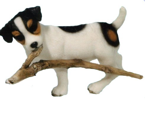 Jack russel graphics