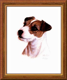 Jack russel graphics