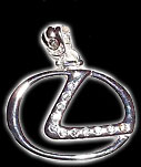 Jewelry graphics
