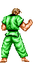 Judo graphics