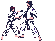 Judo graphics