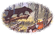 Jungle book graphics