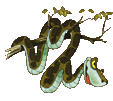 Jungle book graphics