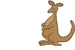 Kangaroos graphics